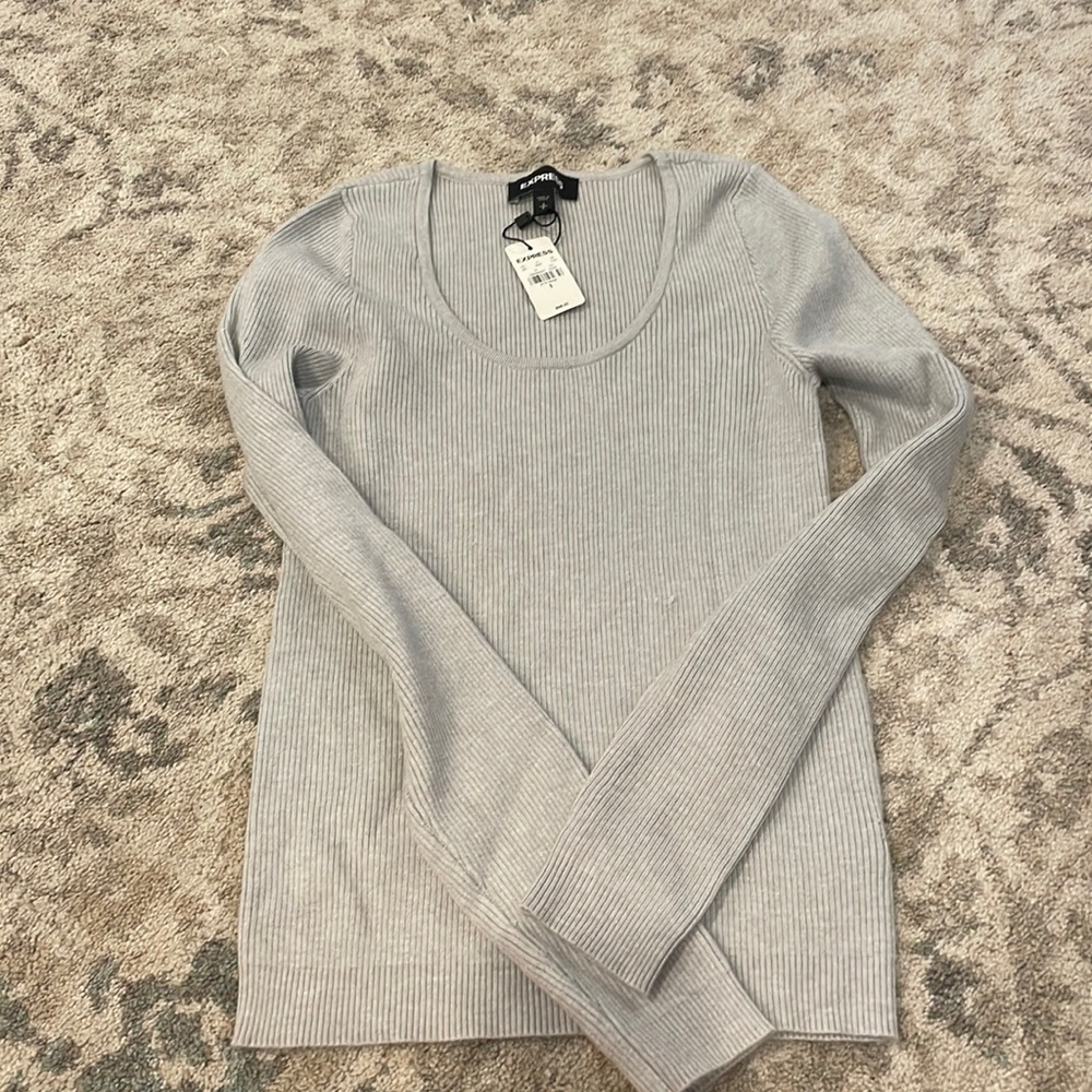 Express fitted sweater